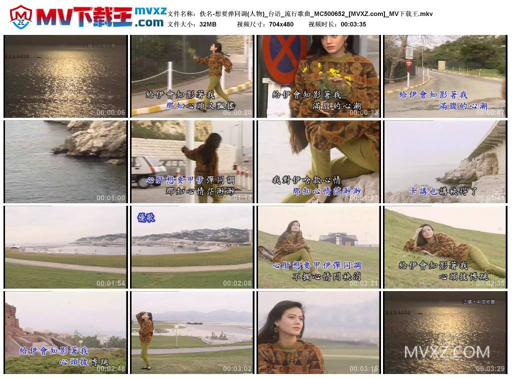 佚名-想要弹同调(人物)_台语_流行歌曲_MC500652